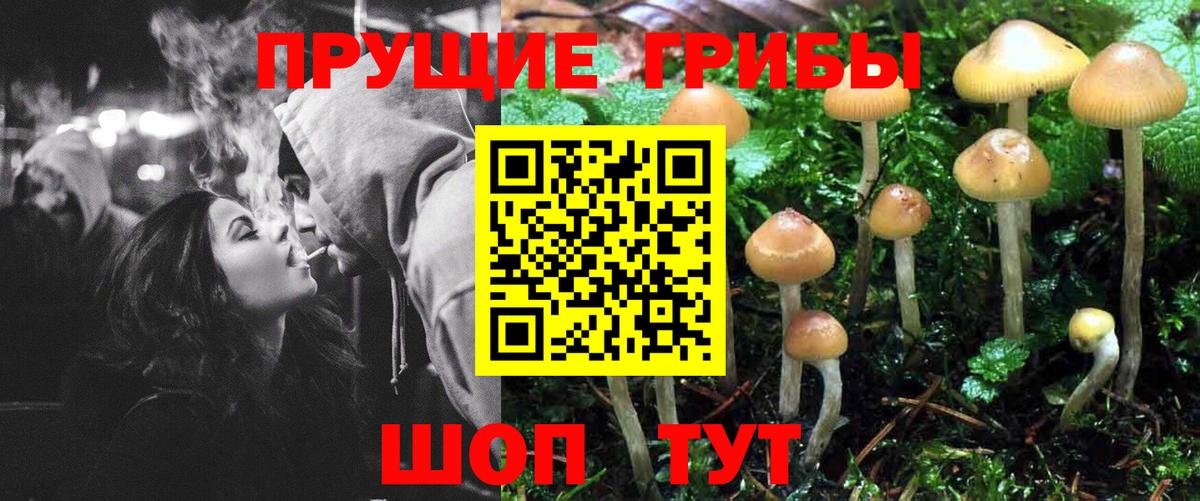 Галлюциногенные грибы ЛСД  Вход с VPN  Ставрополь 